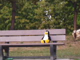 Tux, Alone