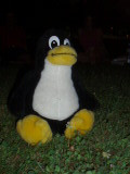 Tux in the Dark