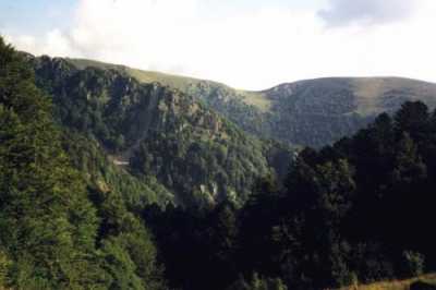 Les Spitzkoepfe